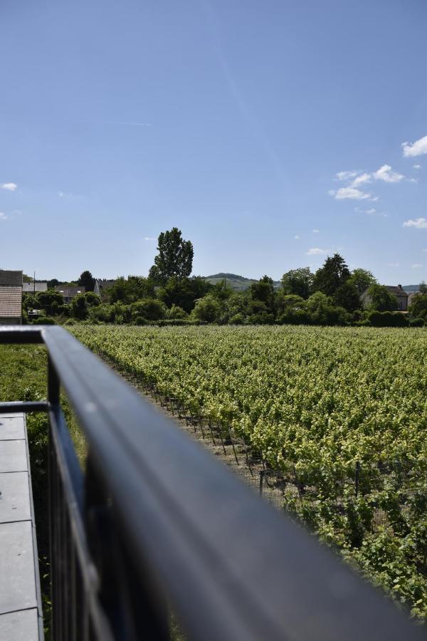 Manoir Henri Giraud & Spa Ay-Champagne Kültér fotó